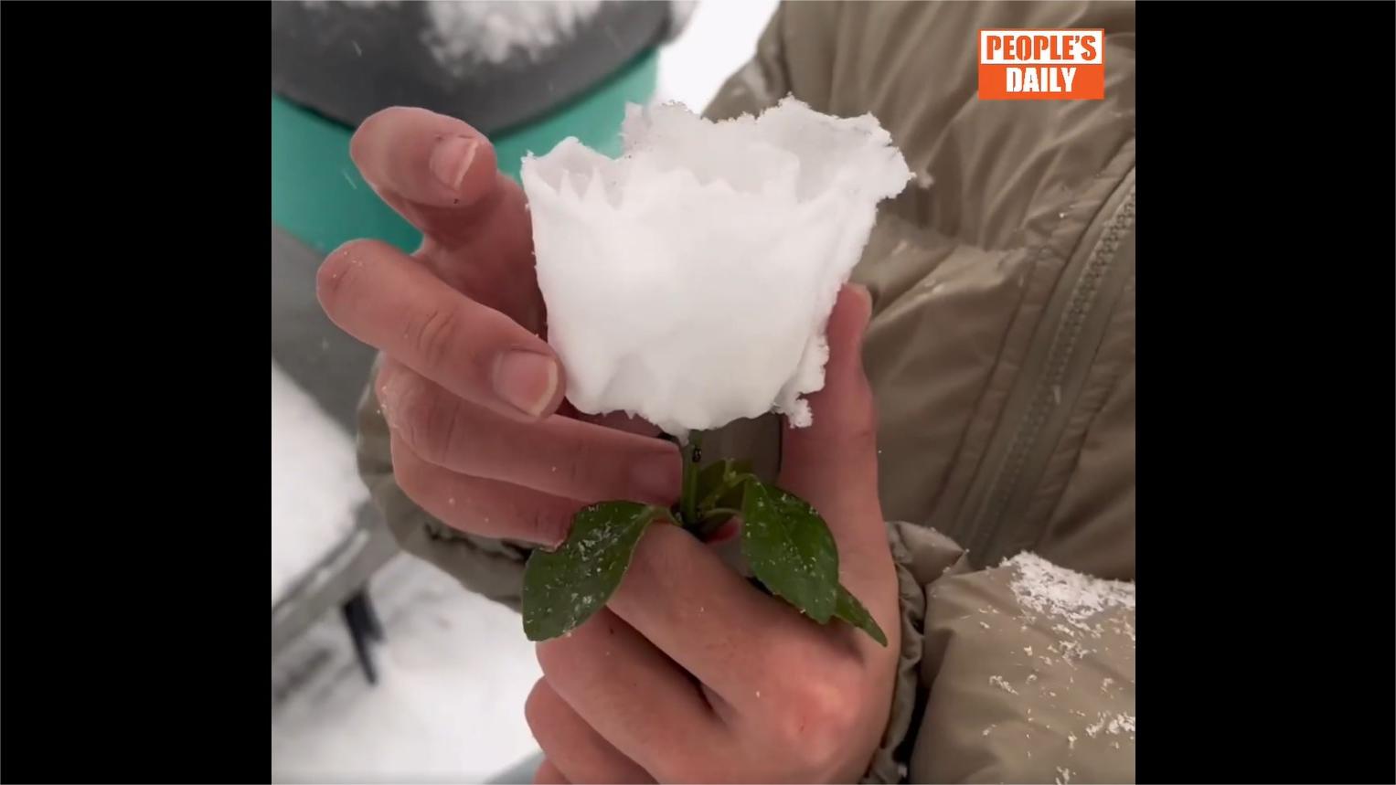 Winter romance: Creative young Chinese man makes rose with snow