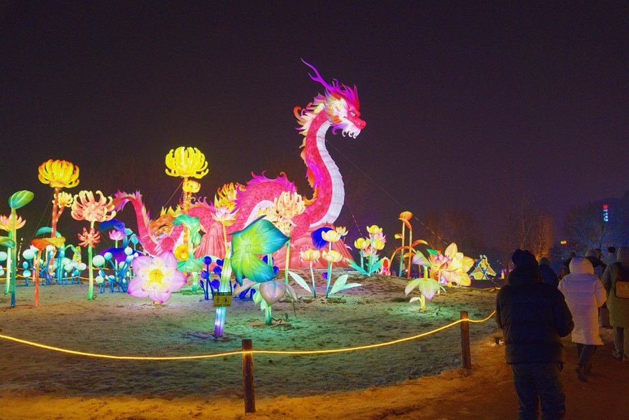 Beautiful lanterns light up Hohhot's winter nights