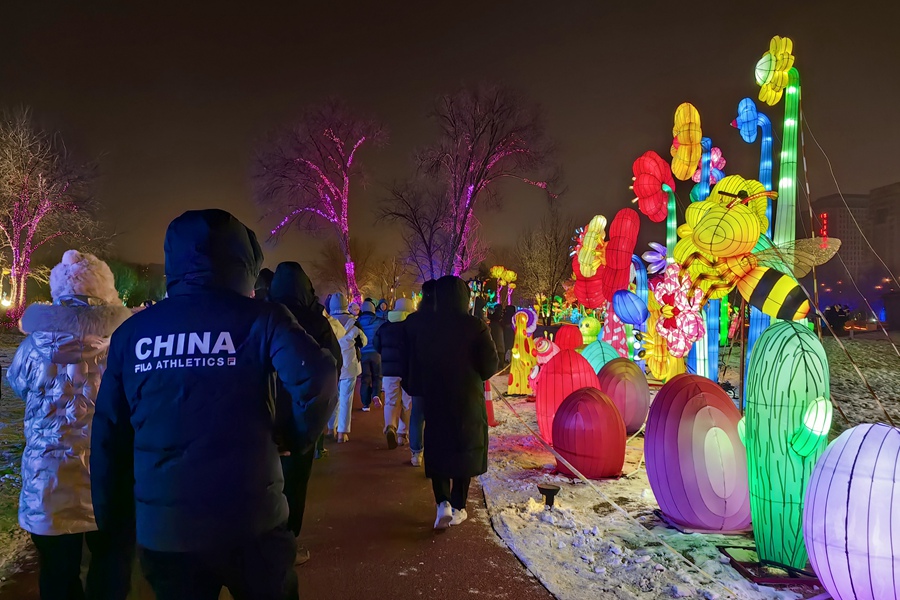 Beautiful lanterns light up Hohhot's winter nights