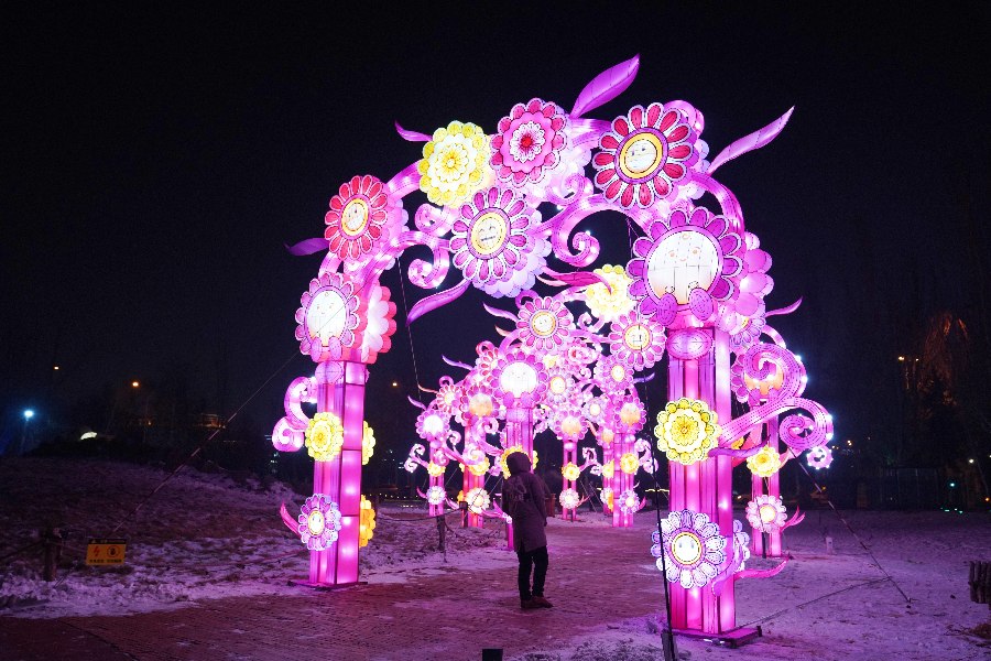 Beautiful lanterns light up Hohhot's winter nights