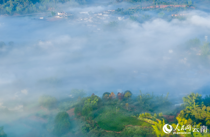 Stunning view of sea of clouds in Pu'er city, SW China's Yunnan