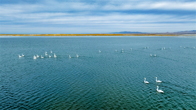 Explore stunning winter scenery of Qinghai Lake