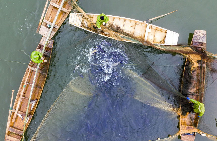 Fishermen engage in winter fishing in Zhangshu, E China's Jiangxi