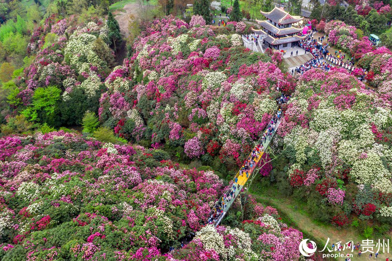 Splendid scenery of SW China's Guizhou in four seasons