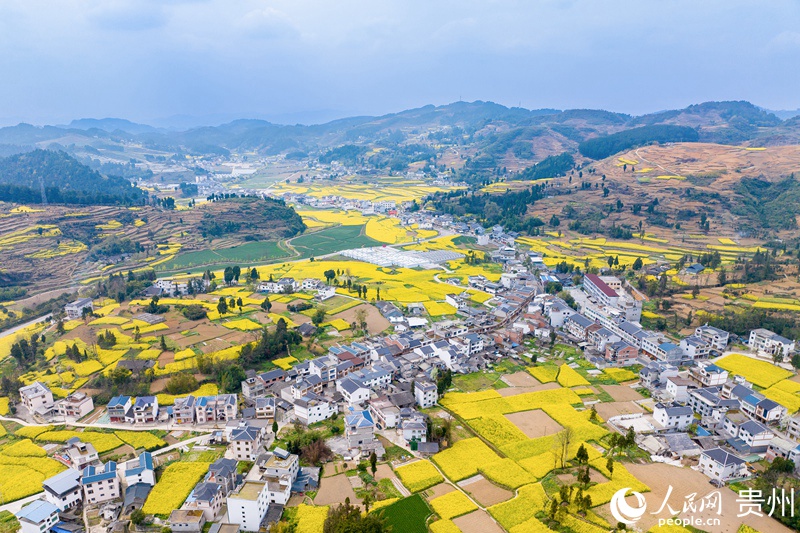 Splendid scenery of SW China's Guizhou in four seasons