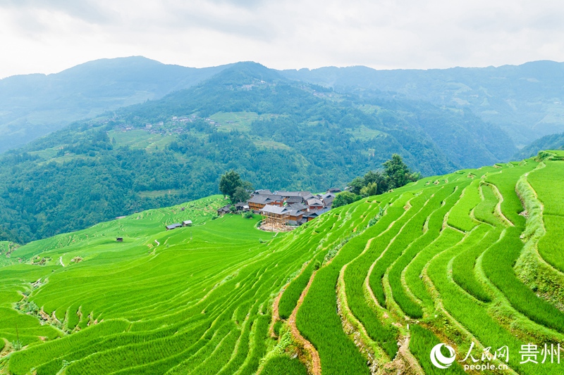 Splendid scenery of SW China's Guizhou in four seasons