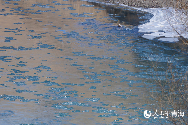 'Ice flowers' bloom on China's Tongtian River amid winter chill