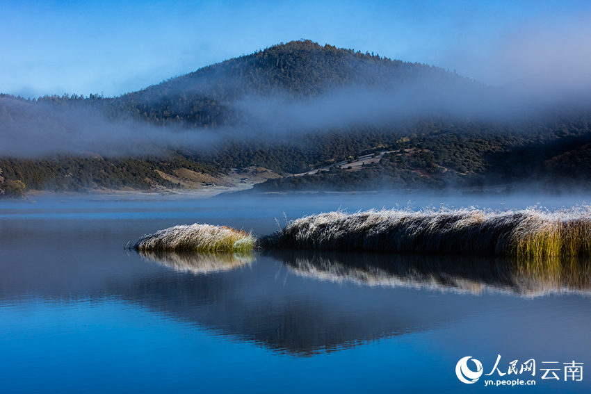 Winter int'l bird watching festival held in Shangri-La, SW China's Yunnan