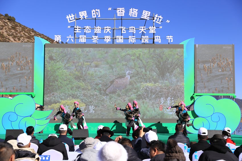 Winter int'l bird watching festival held in Shangri-La, SW China's Yunnan