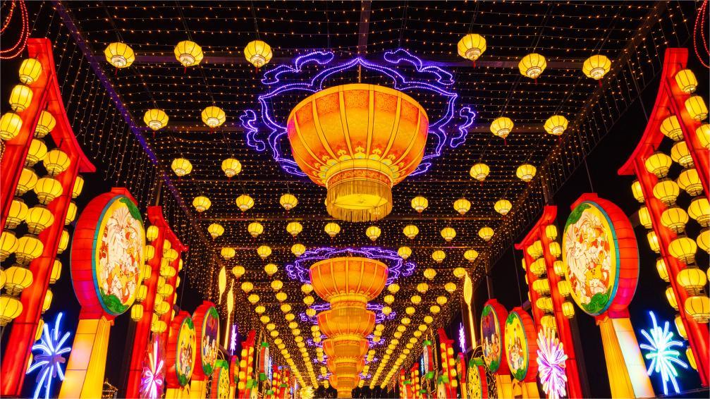 In pics: light installations for 30th Int'l Dinosaur Lantern Show in Zigong, SW China