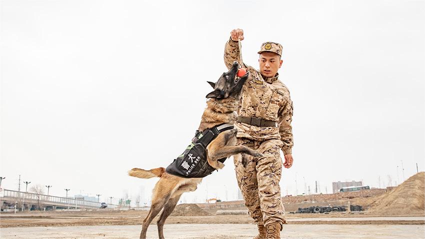 Moment of paws: Retired police dog salutes flag-raising ceremony on TV