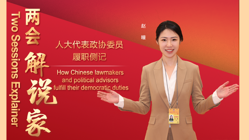 How Chinese lawmakers and political advisers fulfill their democratic duties