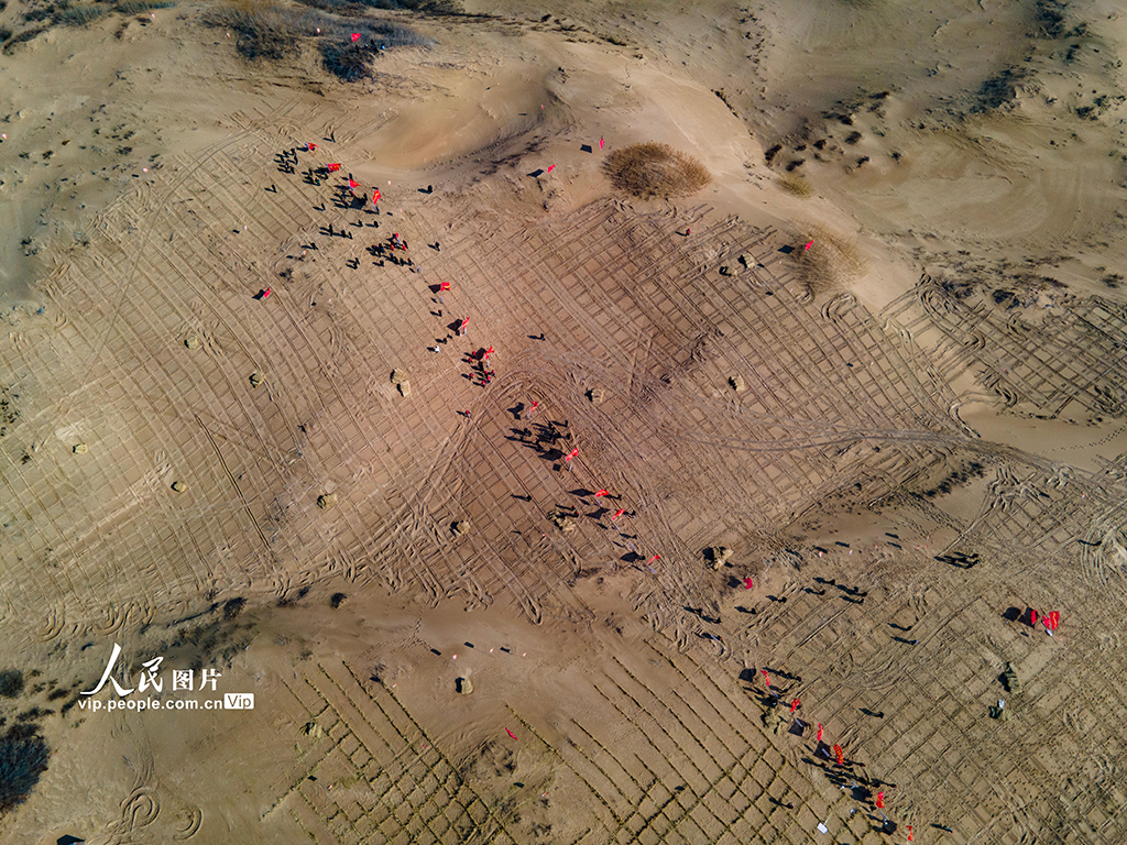 In pics: Aohan Banner in Inner Mongolia builds grass grids for sand control