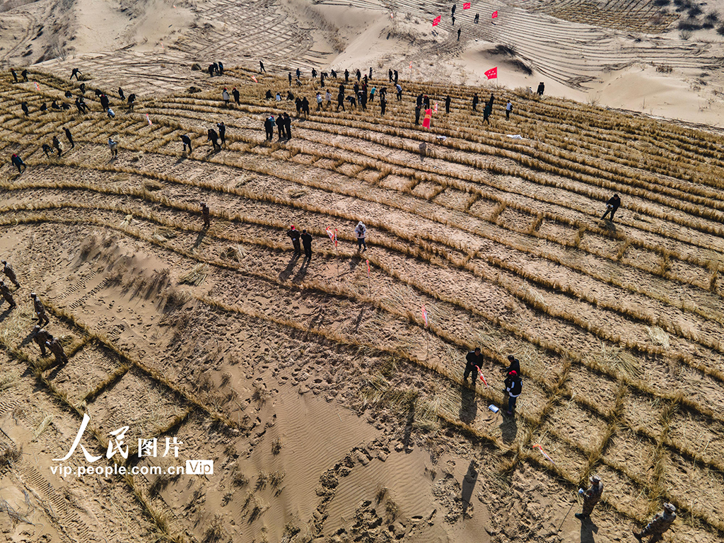 In pics: Aohan Banner in Inner Mongolia builds grass grids for sand control