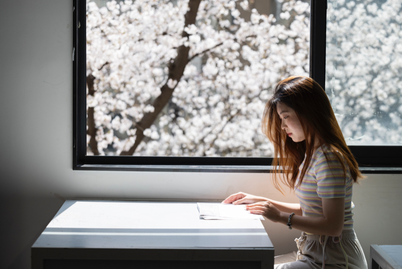 University classroom with view of cherry blossoms turns into dyeing workshop