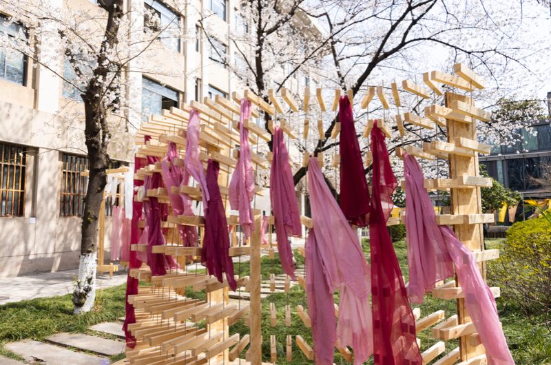 University classroom with view of cherry blossoms turns into dyeing workshop