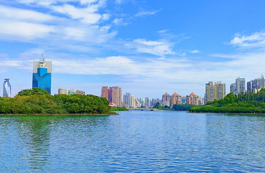 Formerly polluted Yundang Lake transforms into natural haven in Xiamen, SE China