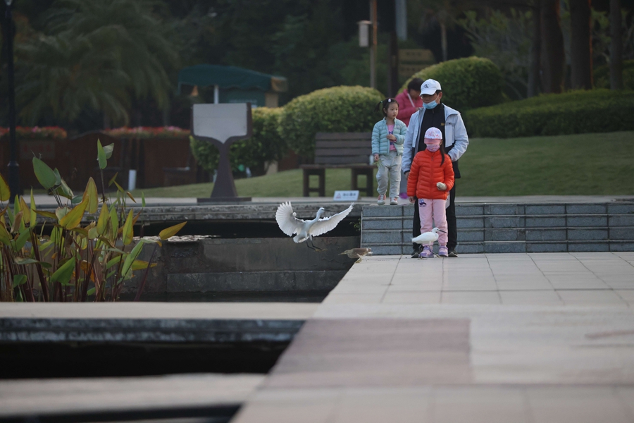 Formerly polluted Yundang Lake transforms into natural haven in Xiamen, SE China