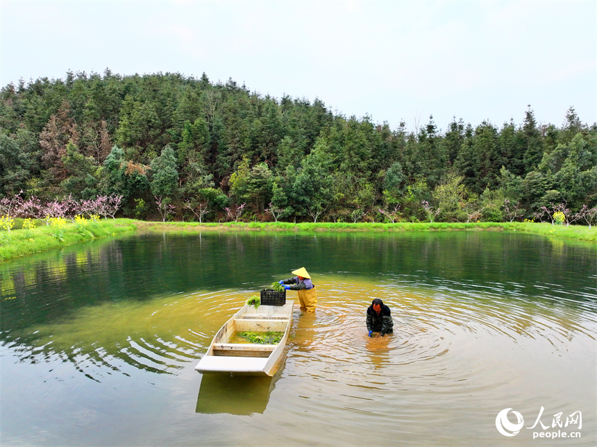 Chongren in E China's Jiangxi transforms natural endowments into economic benefits