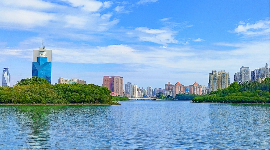 Formerly polluted Yundang Lake transforms into natural haven in Xiamen, SE China