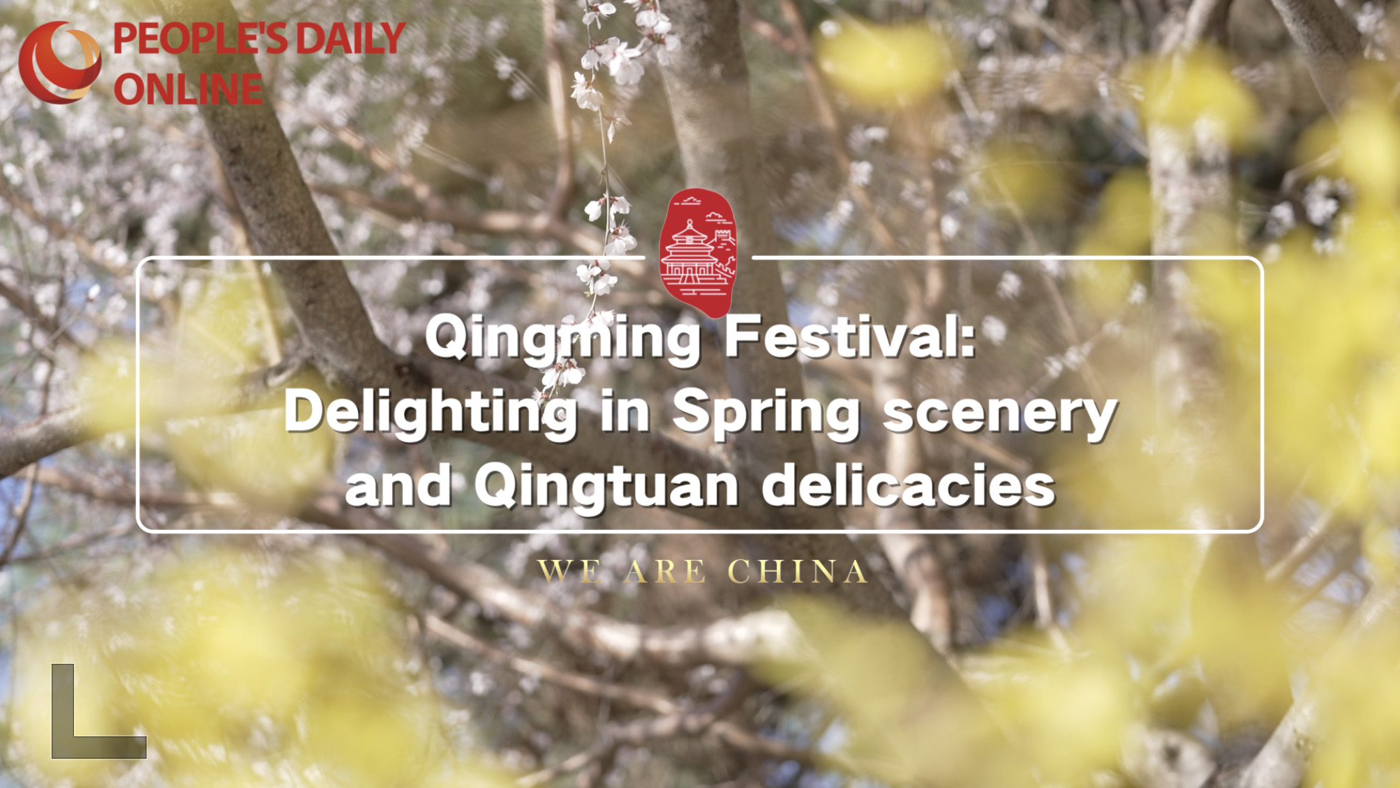 Qingming Festival: Delighting in Spring scenery and Qingtuan delicacies