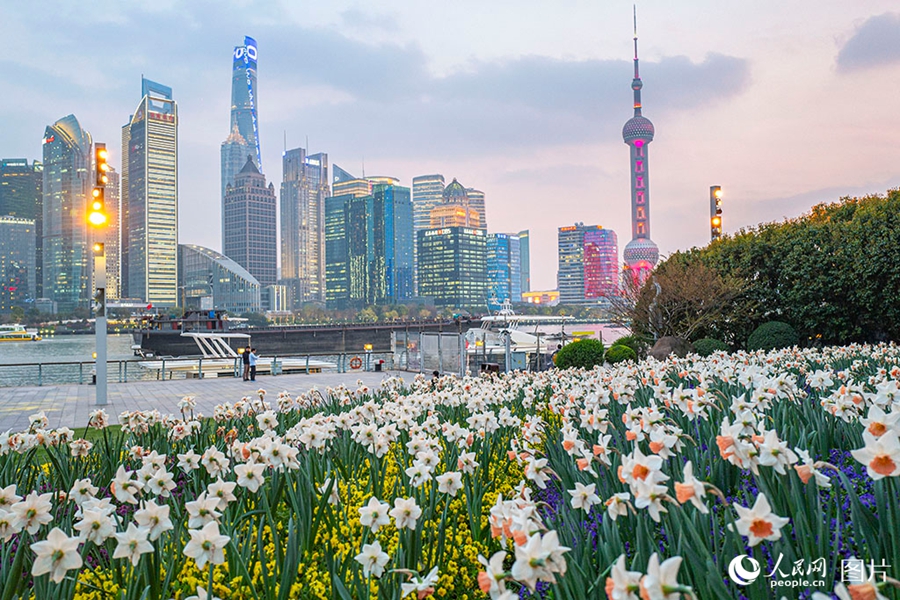 People savor beautiful sights of spring flowers across China