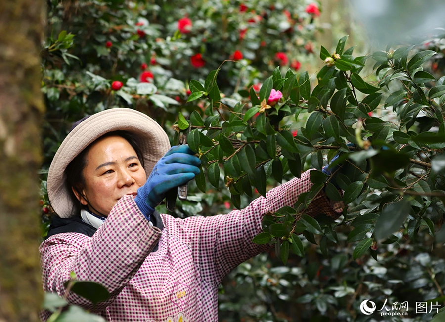 People savor beautiful sights of spring flowers across China