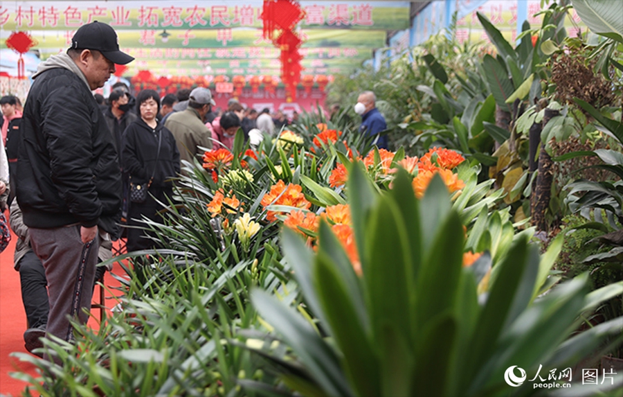 People savor beautiful sights of spring flowers across China