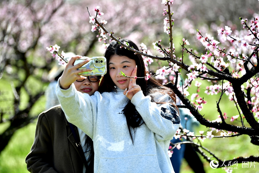 People savor beautiful sights of spring flowers across China