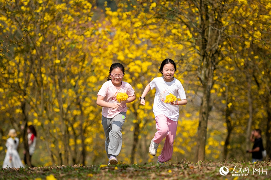 People savor beautiful sights of spring flowers across China