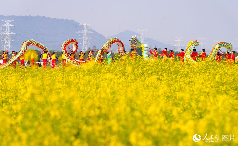 People savor beautiful sights of spring flowers across China