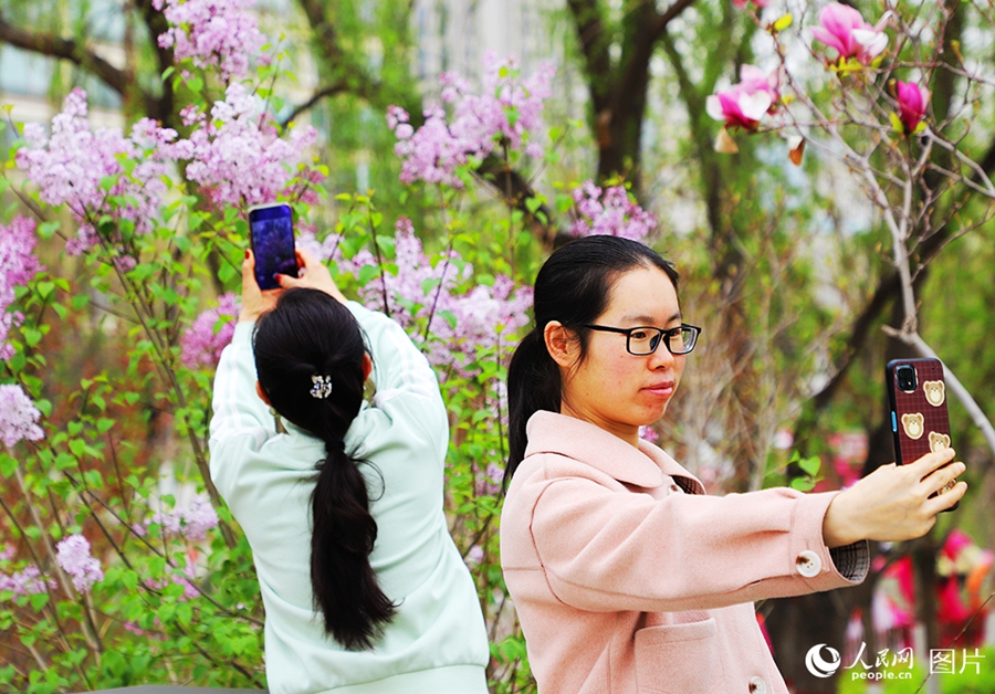 People savor beautiful sights of spring flowers across China