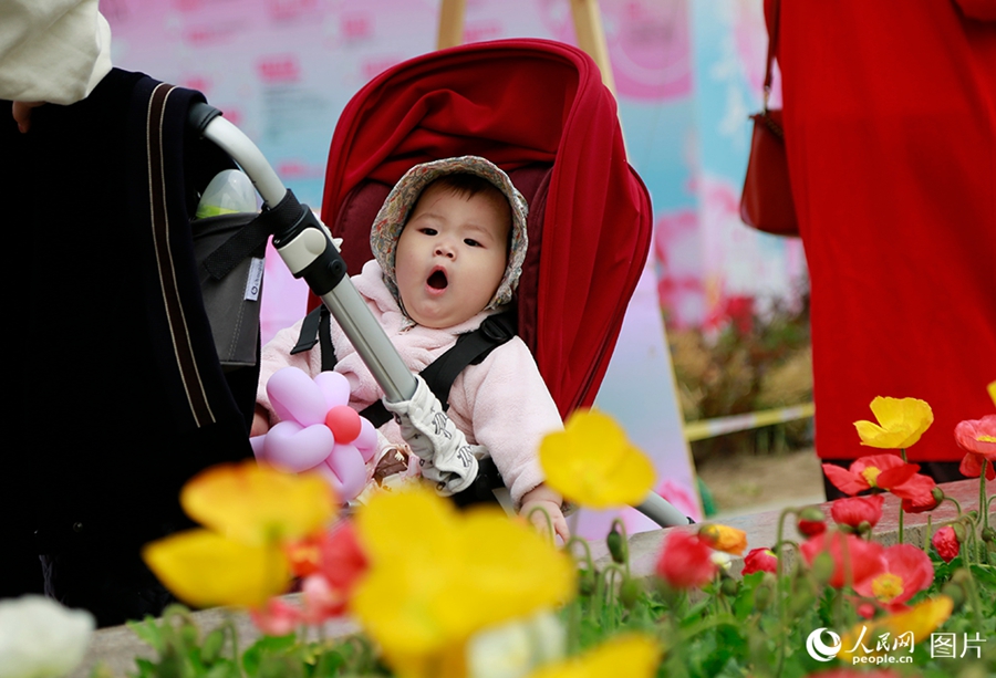 People savor beautiful sights of spring flowers across China