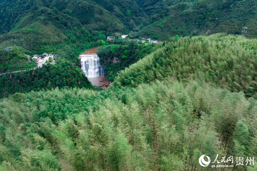 Magnificent scenery of largest waterfall on China's Danxia landforms attracts tourists