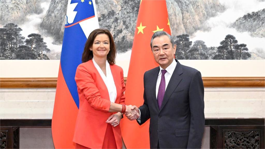 Chinese FM holds talks with Slovenian FM