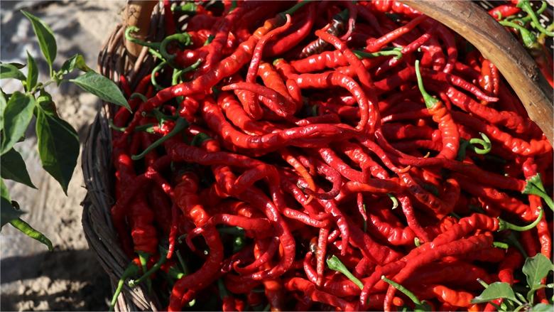 Chili, Sichuan peppers fuel Tianshui malatang's unique flavor