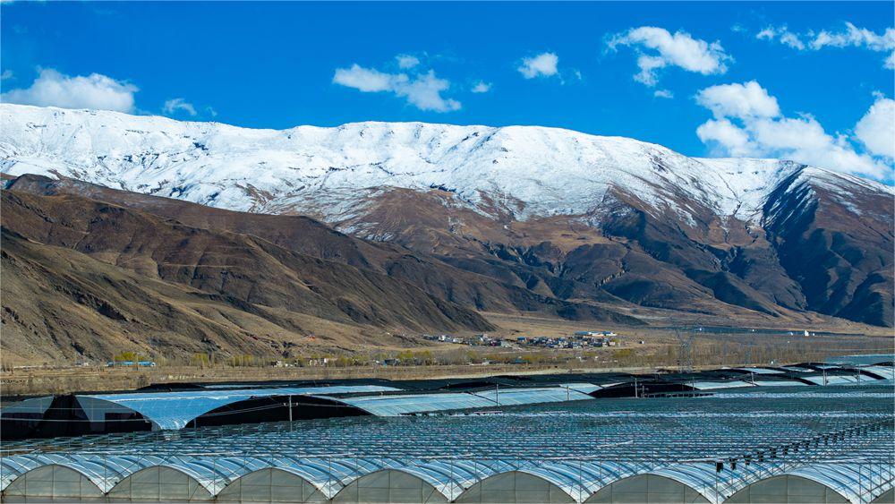 Smart greenhouses boost crop yield, income in SW China's Xizang