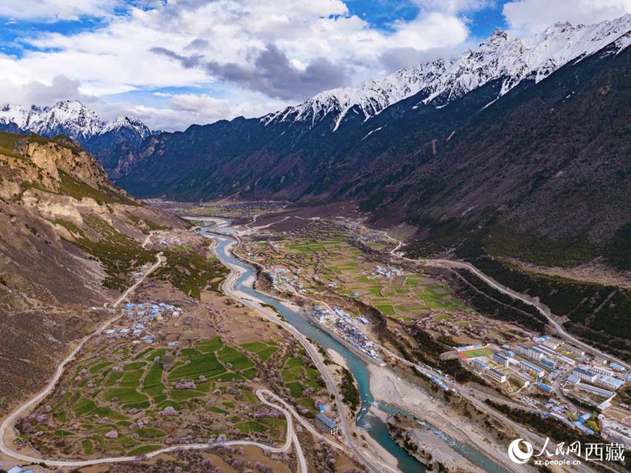 In pics: Blooming peach flowers in Lhari county, SW China's Xizang