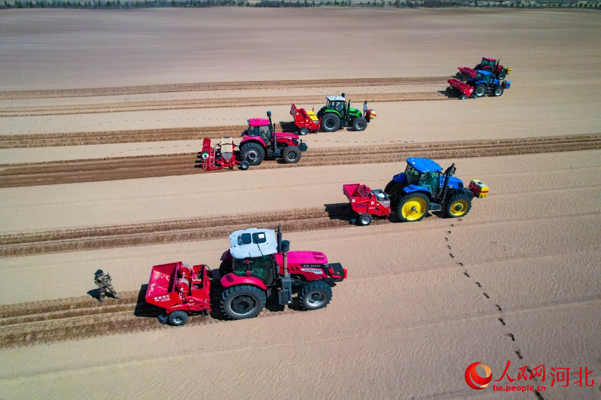 Farmers plant potatoes in N China's Hebei