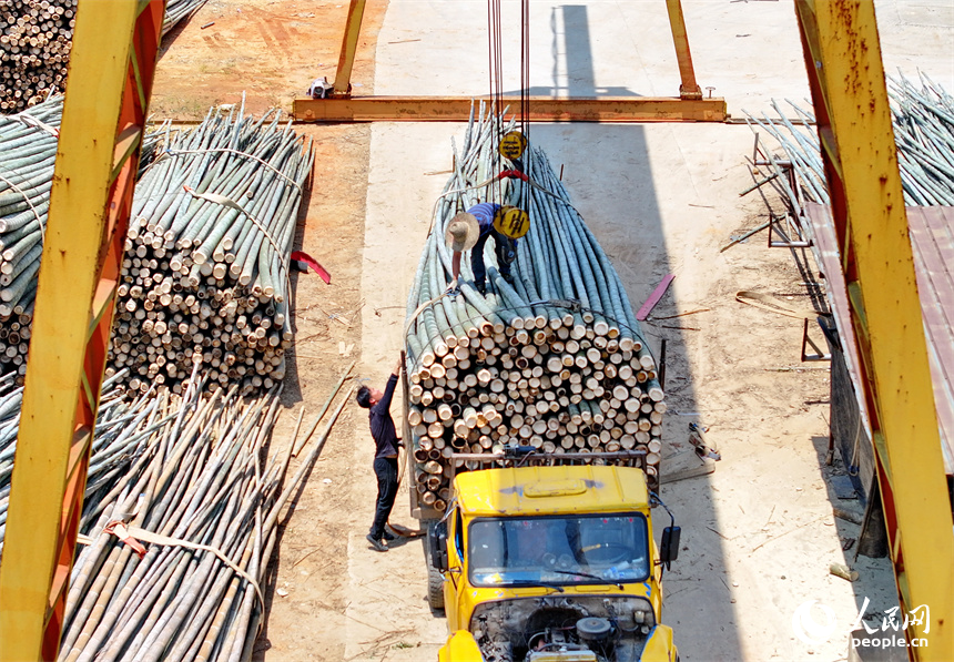 Yifeng county in E China's Jiangxi cultivates thriving bamboo industry