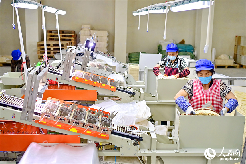 Yifeng county in E China's Jiangxi cultivates thriving bamboo industry