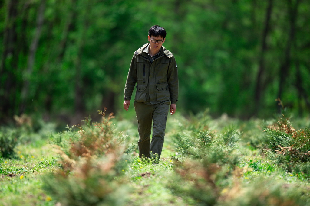 Researcher devoted to safeguarding ecosystem stability in China's Changbai Mountains