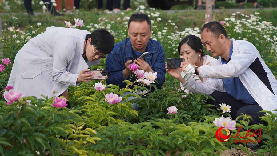 Various kinds of flowers blossom in Ili, NW China's Xinjiang