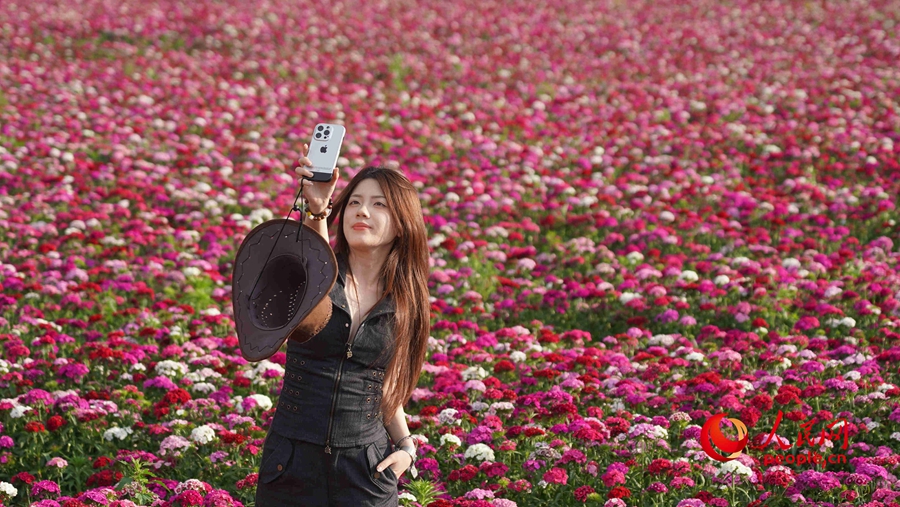 Various kinds of flowers blossom in Ili, NW China's Xinjiang