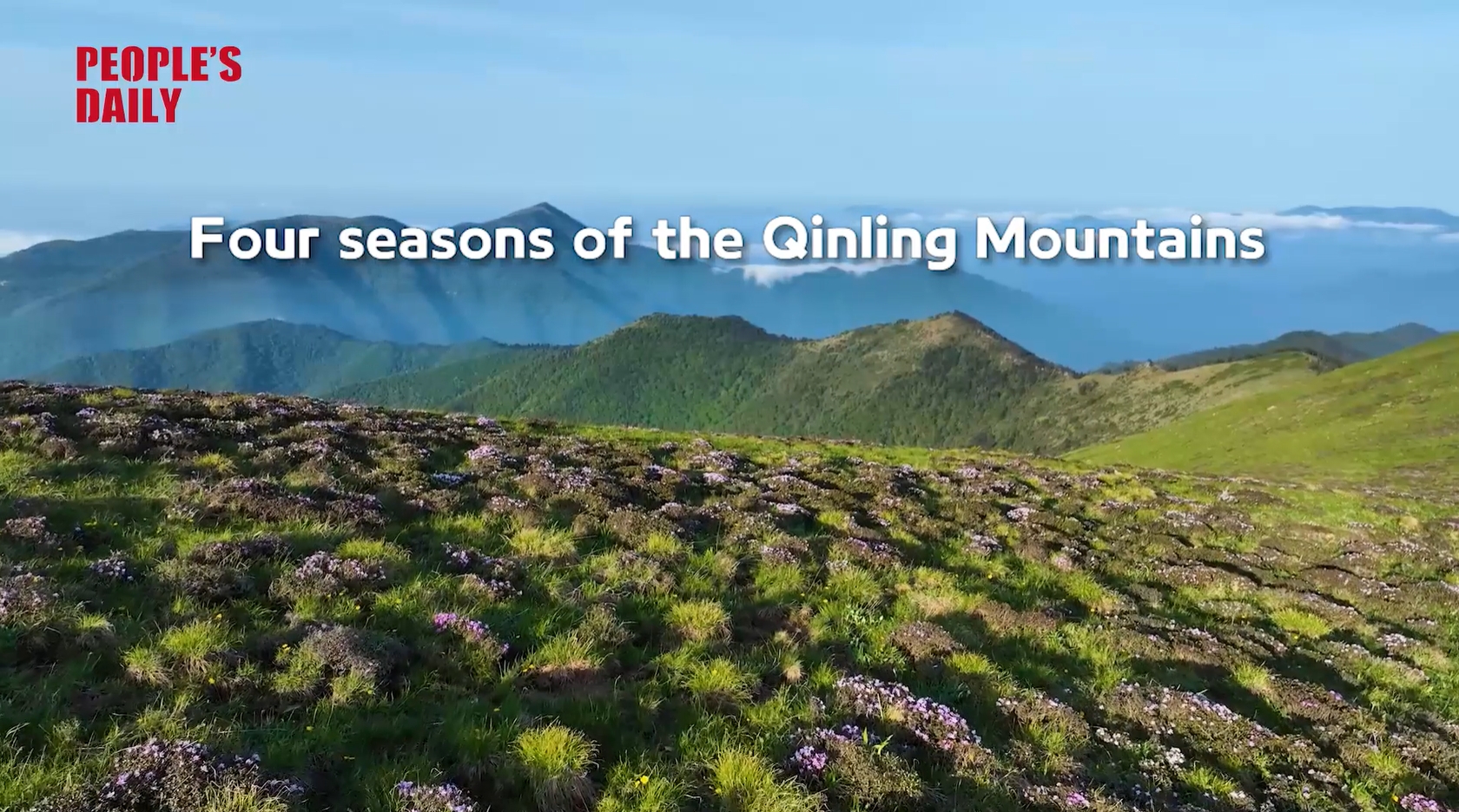 Four seasons of the Qinling Mountains