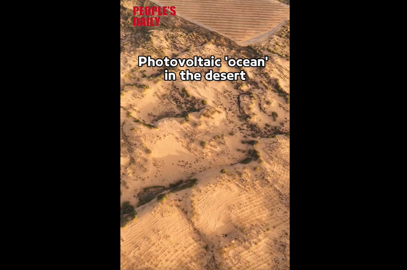 Photovoltaic 'ocean' in the desert