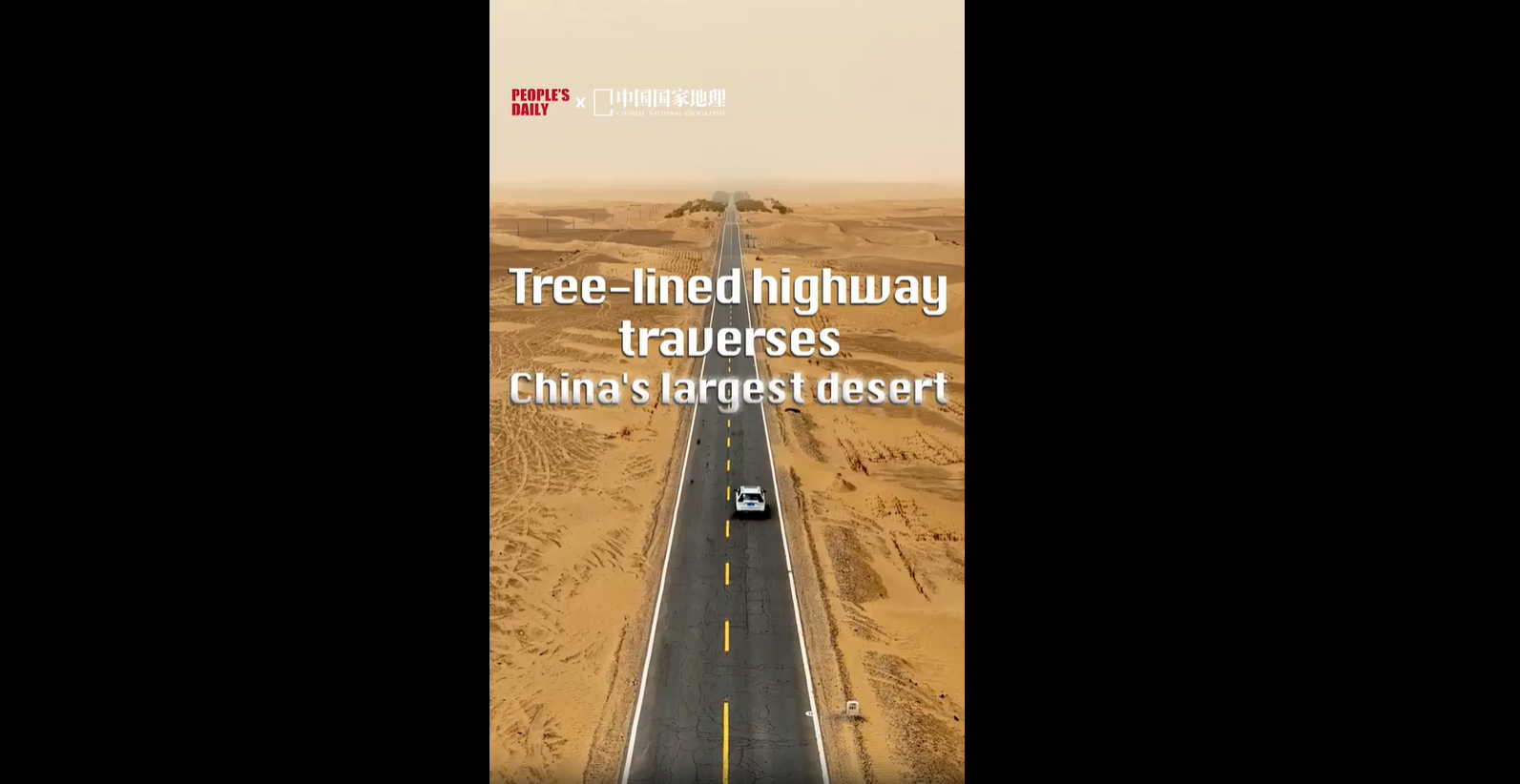 Tree-lined highway traverses China's largest desert