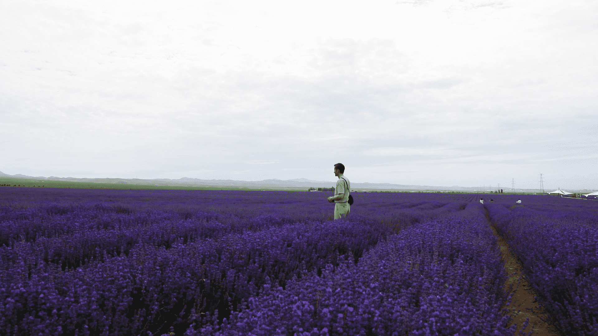 'A movable feast' in Xinjiang: A paradise of flowers and fruits