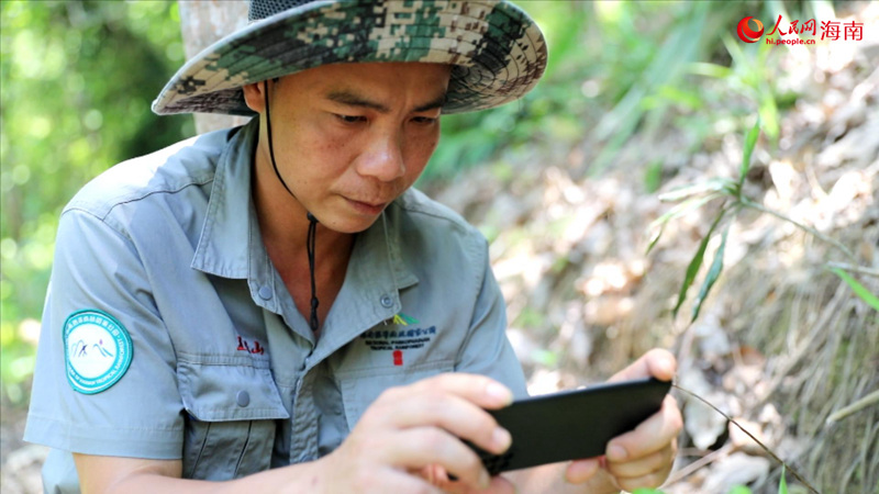 China's Hainan records new plant species