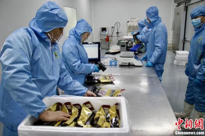 Chinese county becomes global foie gras powerhouse